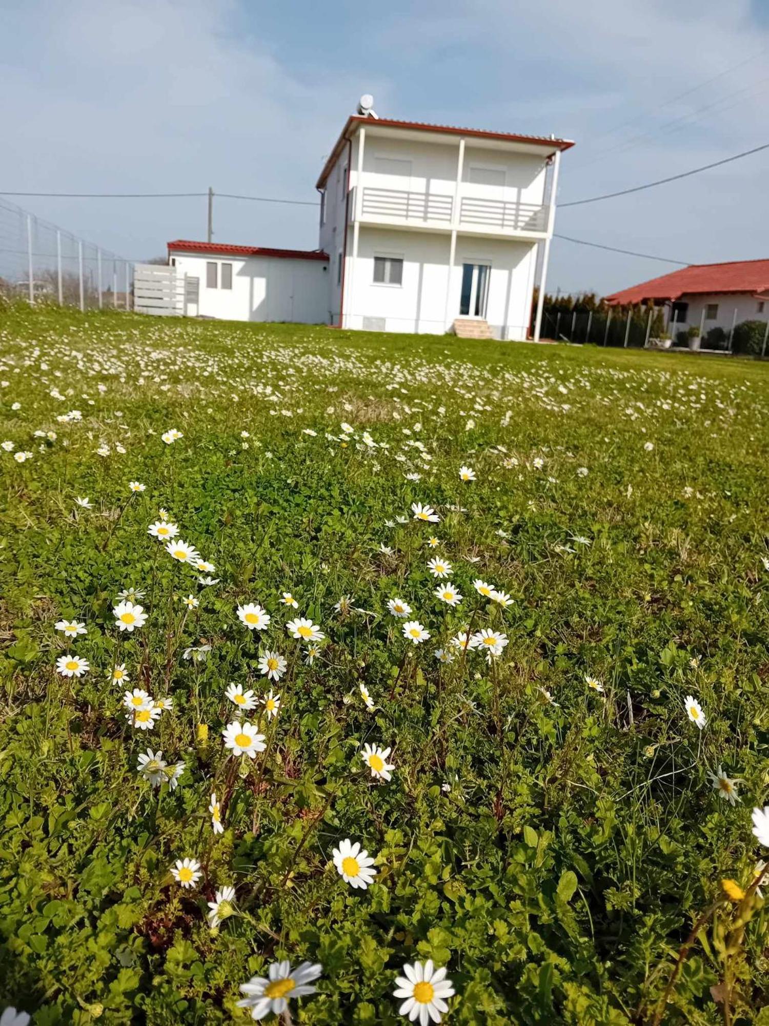 Countryside Apartments First Floor Trikala  Exterior photo